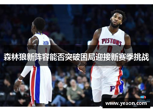 森林狼新阵容能否突破困局迎接新赛季挑战